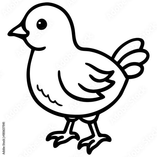 Cute Mallard Duck Cartoon Vector Illustration Isolated on White Background,