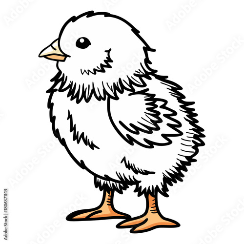 Cute Mallard Duck Cartoon Vector Illustration Isolated on White Background,