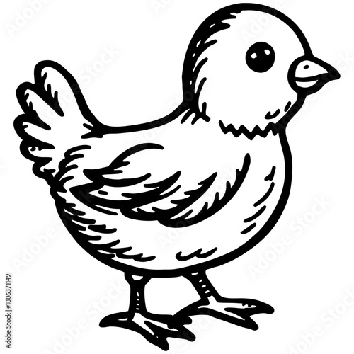 Cute Mallard Duck Cartoon Vector Illustration Isolated on White Background,