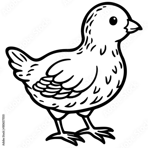 Cute Mallard Duck Cartoon Vector Illustration Isolated on White Background,