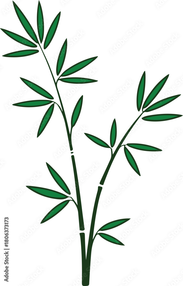 Fototapeta premium Lush green bamboo plant vector image featuring multiple leaves and slender stalks on a dark background