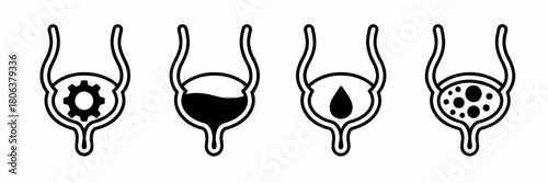 Bladder function and disorders visual representation showcasing different states and conditions affecting urinary health and anatomical structure