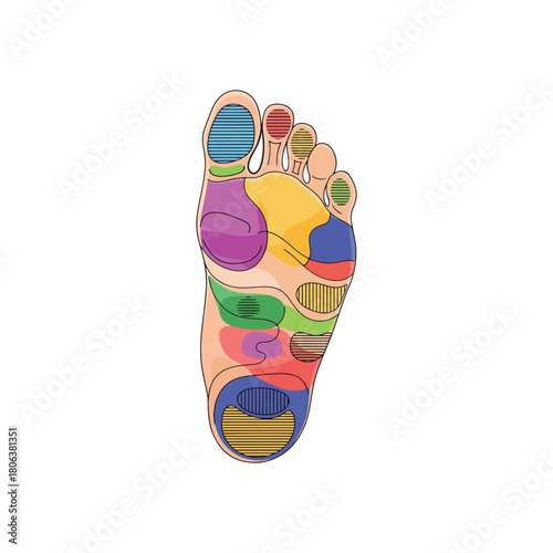 Illustration of a foot with different colored zones representing reflexology points and their corresponding body parts.