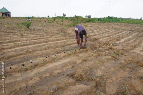 A lone African farmer planting seeds in the open field