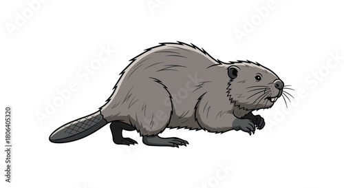 A detailed cartoon illustration captures the essence of a North American beaver, showcasing its distinctive flat tail, sharp incisors, and furry grey coat against a clean white background.