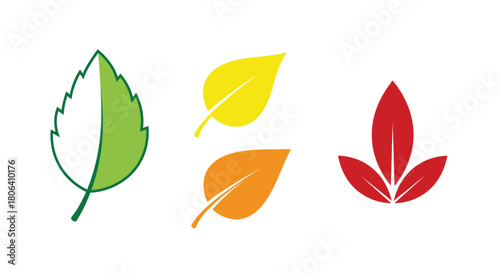 A collection of stylized leaves in varying autumnal colors and shapes
