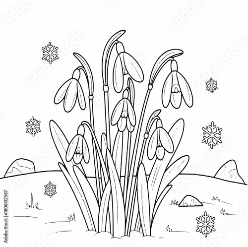 drawing, spring, floral, nature, illustration, flower, garden, vector, design, isolated, plant, white, blossom, graphic, snowdrop, decoration, bloom, outline, art, leaf, botany, flora, background, 