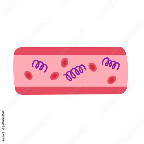 syphilis symptoms. syphilis infection disease concept