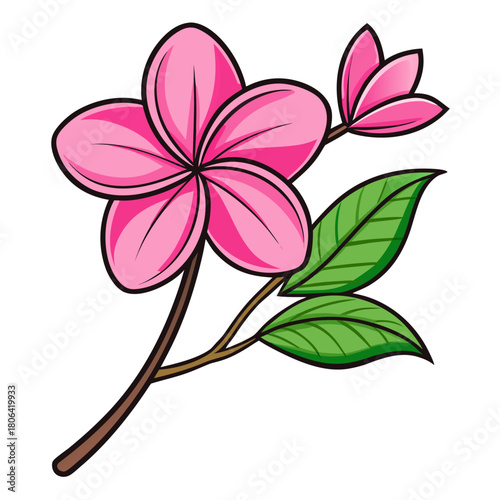 frangipani pink flower line art vector