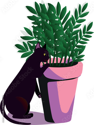 A cat and a plant. A cat climbs into a pot with a houseplant.