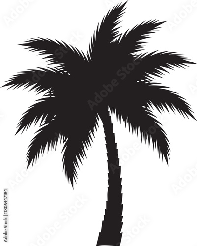Black silhouette of a palm tree with spiky fronds and textured trunk on white tropical