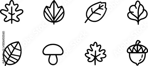 Minimalist line art collection of autumn icons featuring leaves and acorn