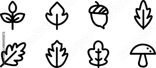 Minimalist line art of autumn icons with leaves and acorn for seasonal design