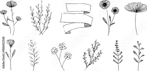 Minimalist line art collection of floral sketches and quote banners for design
