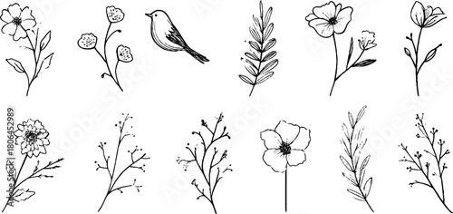 Minimalist spring borders with flowers and bird for decorative design