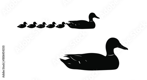 Silhouettes of ducks and ducklings in a simple black and white design