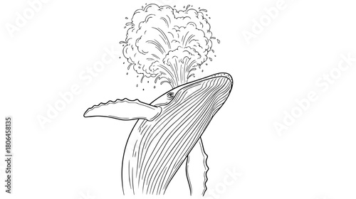 Majestic humpback whale breaching and spouting water into the air, a detailed line art illustration