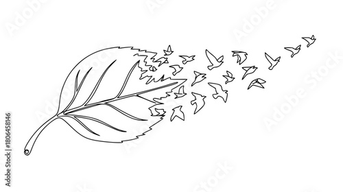 Elegant leaf turns into birds flying away line art for freedom, hope, and nature concepts