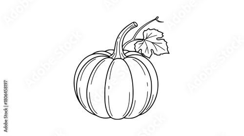 Hand-drawn pumpkin illustration for autumn designs and Halloween crafts, ready for coloring books