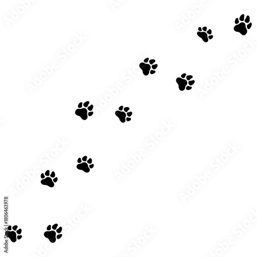 Paw print of dog isolated on white background.