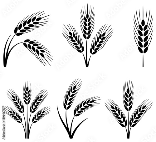 Collection of Black and White Wheat Ear Icons and Silhouettes