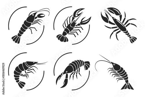 Minimalist mantis shrimp icon set with bold colors