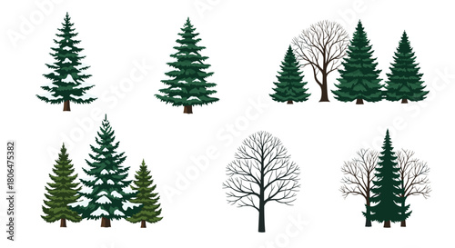 Collection of various forest tree illustrations, including green coniferous firs with snow and bare deciduous trees for seasonal designs.