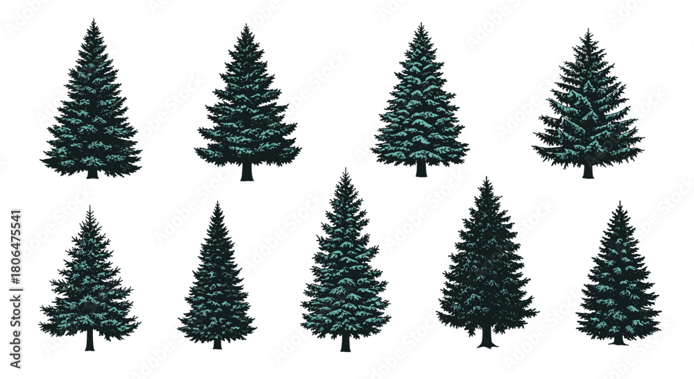 Obraz premium Set of nine realistic evergreen fir trees with detailed dark green foliage, illustrated in various shapes and sizes for forest landscapes.