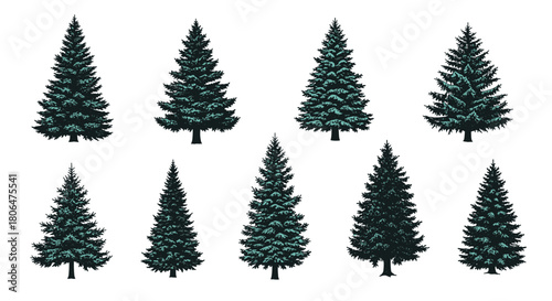 Set of nine realistic evergreen fir trees with detailed dark green foliage, illustrated in various shapes and sizes for forest landscapes.