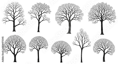 Set of nine detailed black silhouettes of leafless deciduous trees, featuring a textured and stylized artistic design for winter scenes.