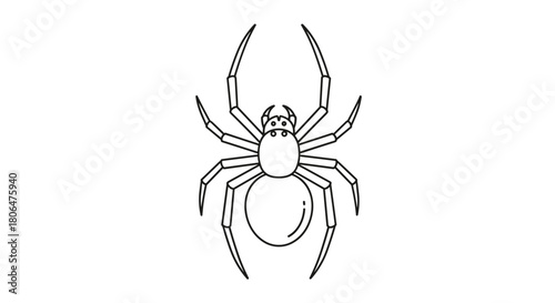 Symmetrical top-down view of a spider, illustrated in a clean and simple black and white outline style for icons or coloring pages.