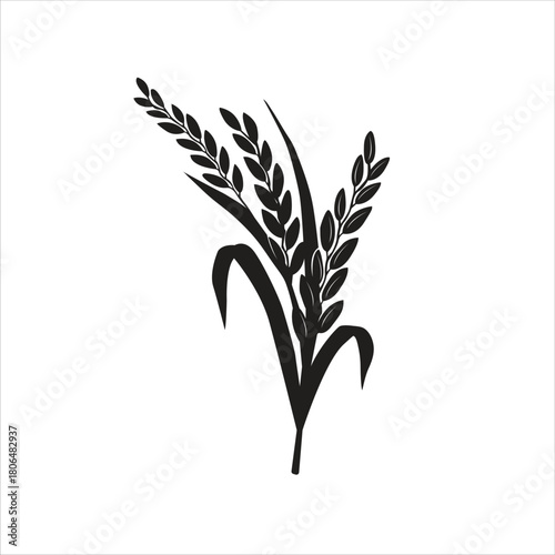 Rice crop symbol