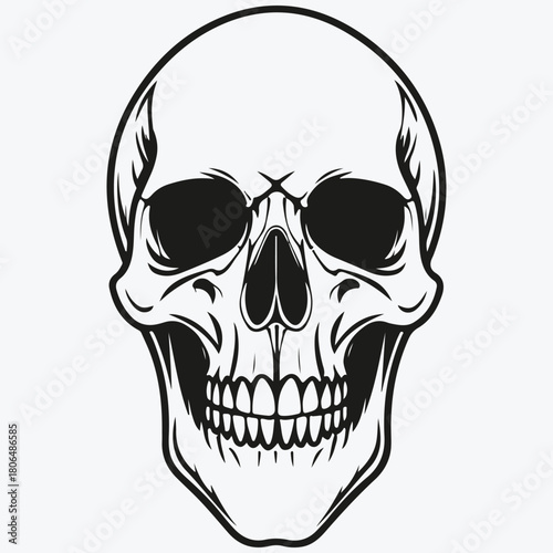scull sketch illustration vector