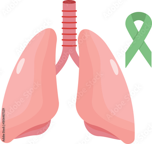 Lungs organ donation transplantation anatomy medicine surgery care disease with green bow vector illustration concept.
