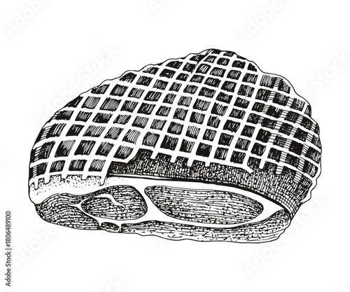 Piece of smoked ham hand drawn vector