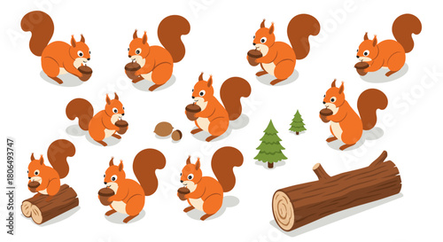 Cute squirrels collecting nuts and exploring the forest in isometric cartoon style