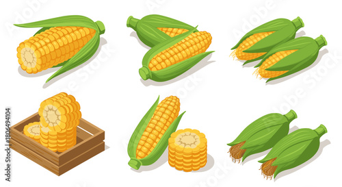 Set of fresh isometric corn with husk and cobs in box