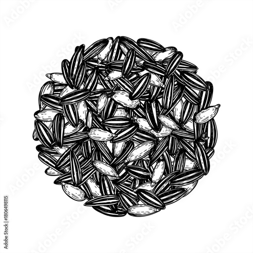 Black sunflower seed round pile monochrome vector illustration painted by black inks. Natural pods in shell and peeled seed realistic graphic sketch. Food healthy ingredients for bird feeder label
