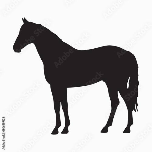 Horse and Woman Walking Side by Side Silhouette