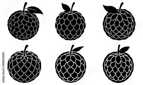 Illustration of six custard apples in black and white with leaves and textured skin detail showing