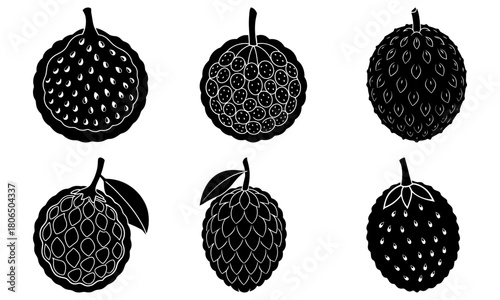 Illustration of six different custard apples in black and white with varying textures and shapes shown