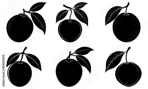 Silhouette illustration of six plums hanging from branches with leaves isolated on a white background
