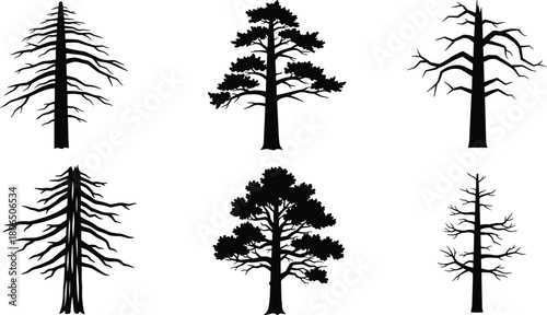 Tree silhouette collection, coniferous and deciduous forms, black vector trees, nature graphics, forest icons, botanical design elements, isolated tree shapes