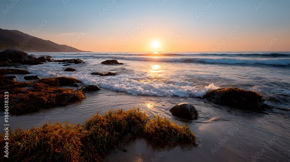 Obraz premium A serene sunset casts a golden glow over a rocky seaweed strewn beach with gentle waves lapping the shore