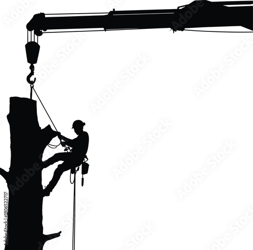 Silhouette of arborist cutting tree with crane support and safety ropes during professional removal operation