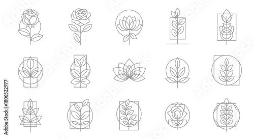 Elegant floral line art collection featuring roses, lotus flowers, and botanical branches in