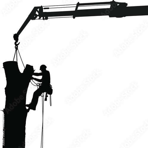 Silhouette of arborist cutting tree with crane support and safety ropes during professional removal operation