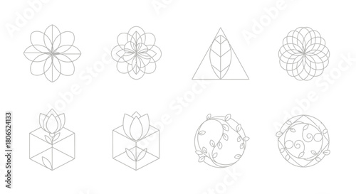 Elegant botanical emblem collection featuring symmetrical floral and leaf designs for brand identity