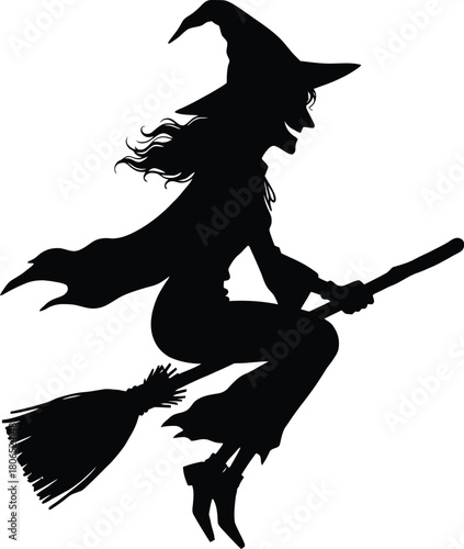 Witch on a broom vector illustration