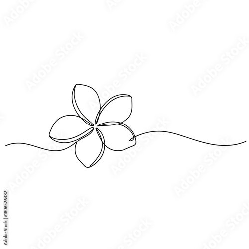 Continuous line drawing of plumeria flower isolated on for minimalist design and botanical themes